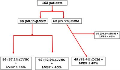 Prognosis of Adults With Isolated Left Ventricular Non-Compaction: Results of a Prospective Multicentric Study